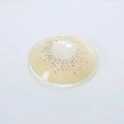 FreshGo - Ocean Jade Green Coloured Contacts -Halloween Contact Lenses Cheap Store OceanJadeGreenColoredContacts4