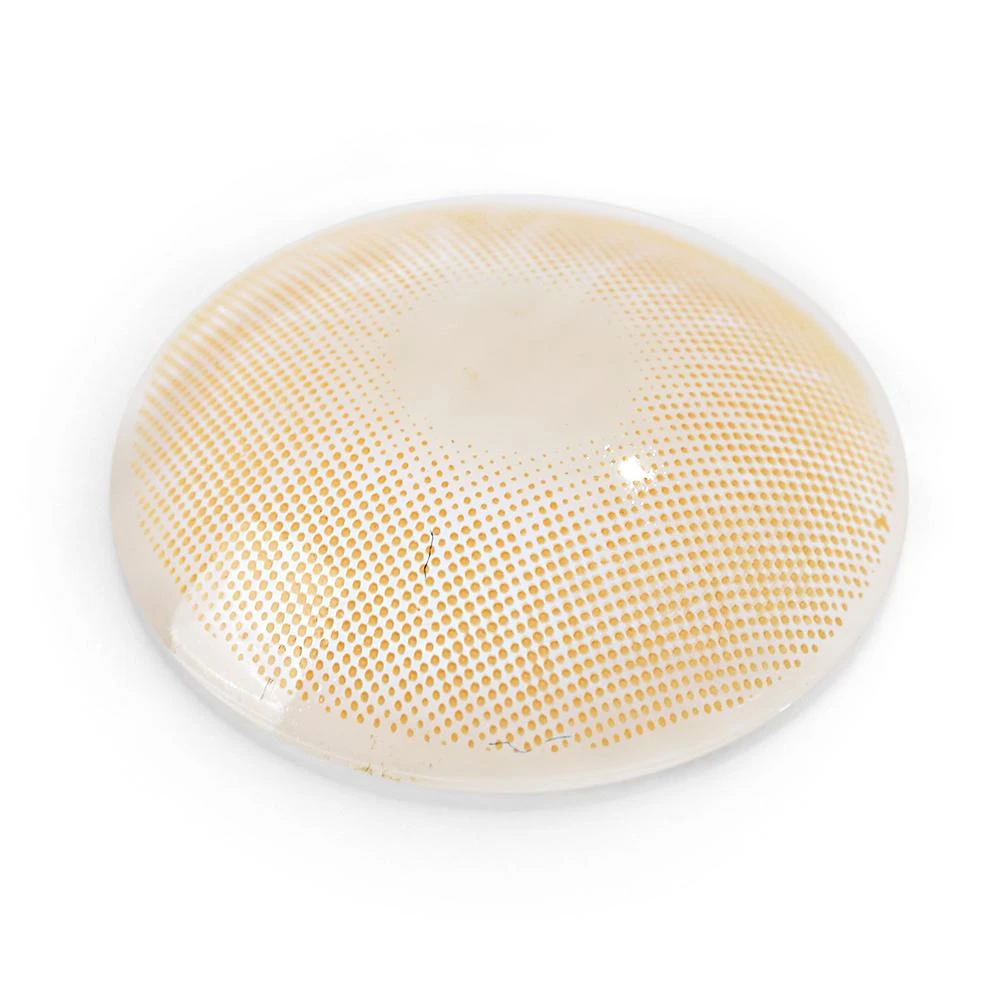 Rio Ochre Brown Colored Contacts 7 Rio Ochre Brown Colored Contacts - Image 7