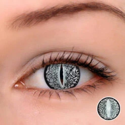 Silver Lizard Eye